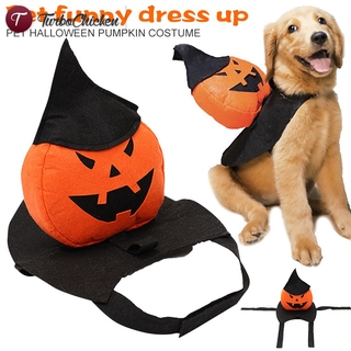 Ready Stock Pet Dog Halloween Pumpkin Costume Pumpkin Knight With Wizard Witch Hat Dog Apparel Costume Shopee Philippines - halloween pumpkin headband roblox