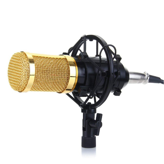 Professional BM800 Condenser Microphone RecordingBlack Shopee