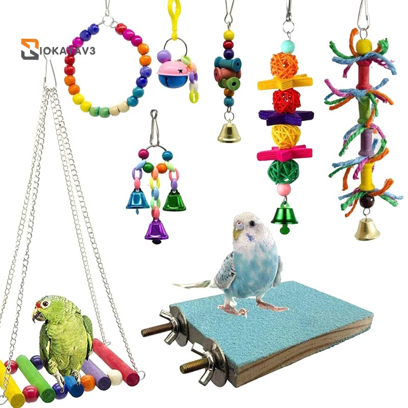 bird toys and accessories