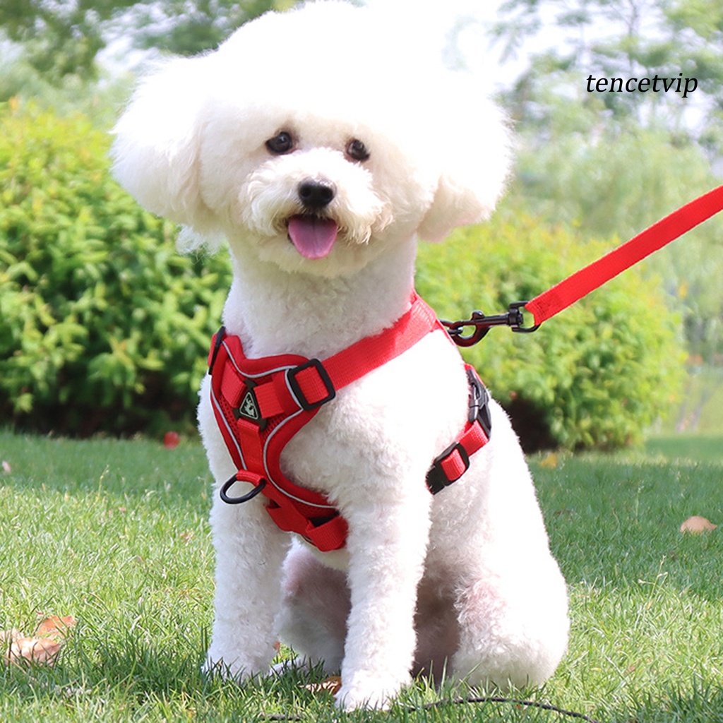 [Vip]Pet Harness Reflective Walking Safety Sandwich Mesh Dog Safe Chest Strap Leash for Puppy #3
