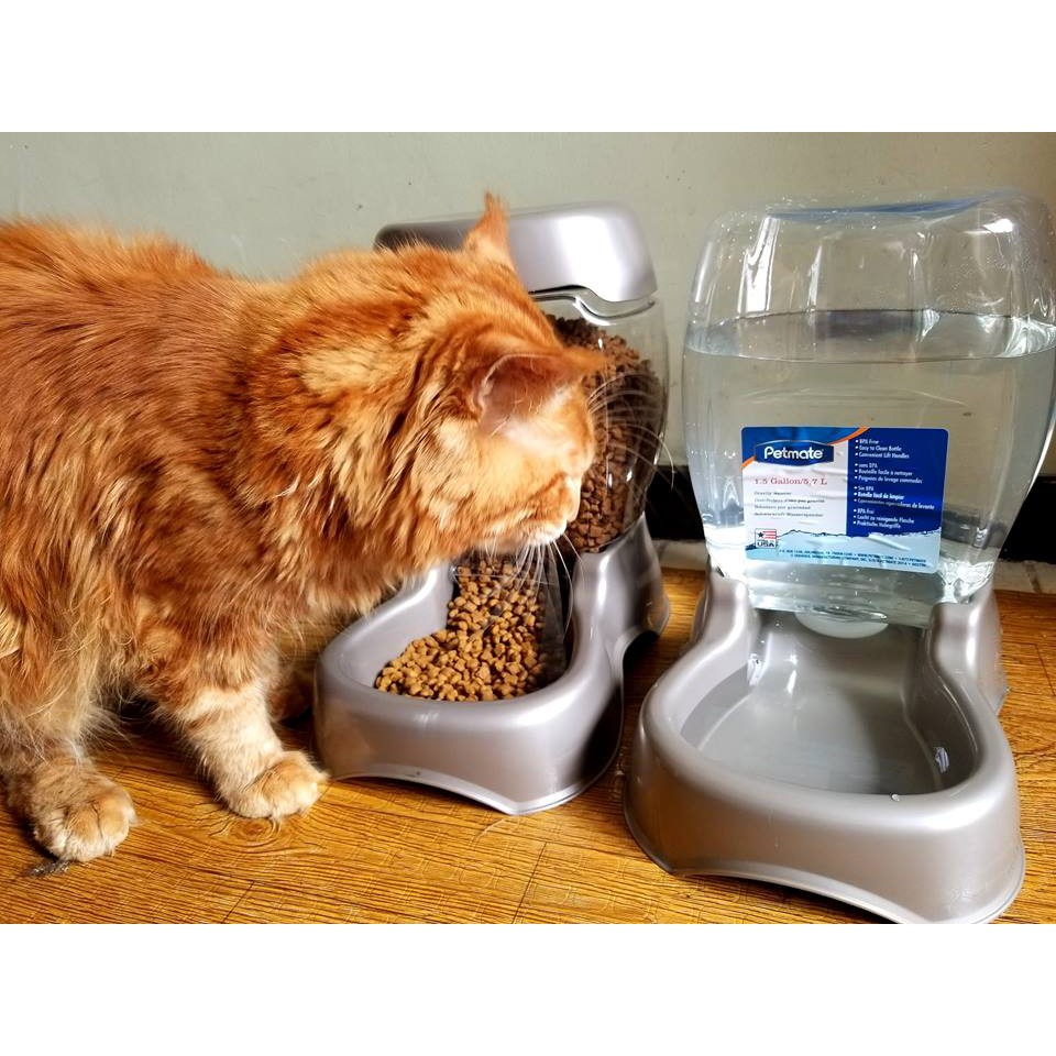 Pet Cafe Feeder By Petmate Shopee Philippines