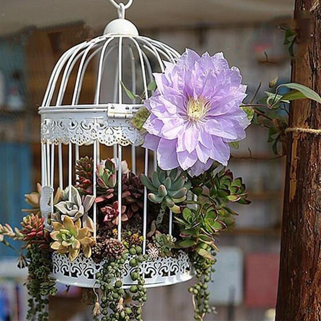 Iron Birdcage Shape Succulent Pot Metal Hanging Planter Plant Holder 7
