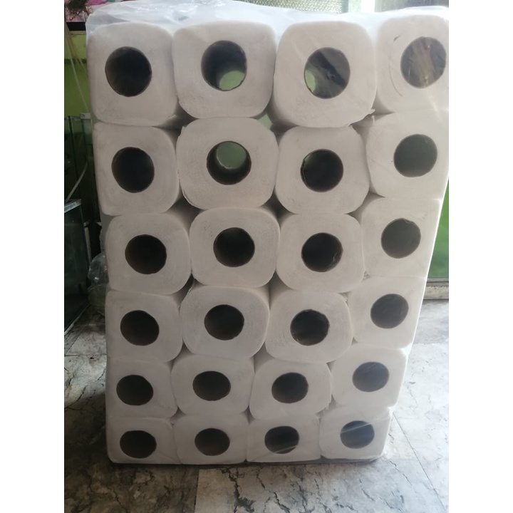 Bathroom Tissue Roll 2 ply (6 rolls) Shopee Philippines