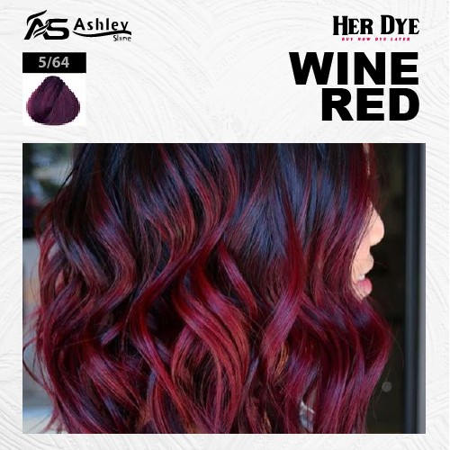 Ashley Shine Hair Color DIY 10 pcs Set | Shopee Philippines