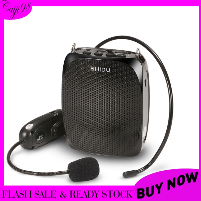 portable amplifier with wireless microphone