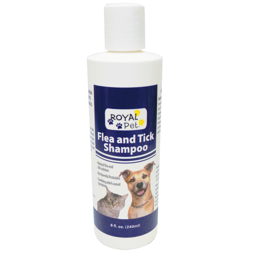 medicated flea and tick shampoo