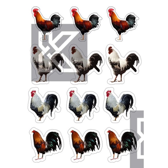 12pcs Manok Na Pula Cupcake Topper Shopee Philippines