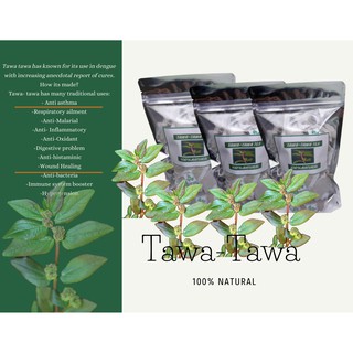 Tawa tawa tea 20 pcs tea bag 100% natural Organic tea Pure