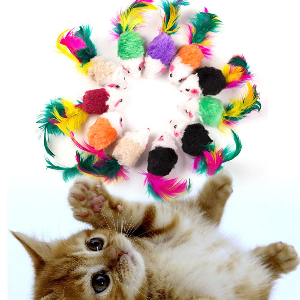 cat toys cat toys
