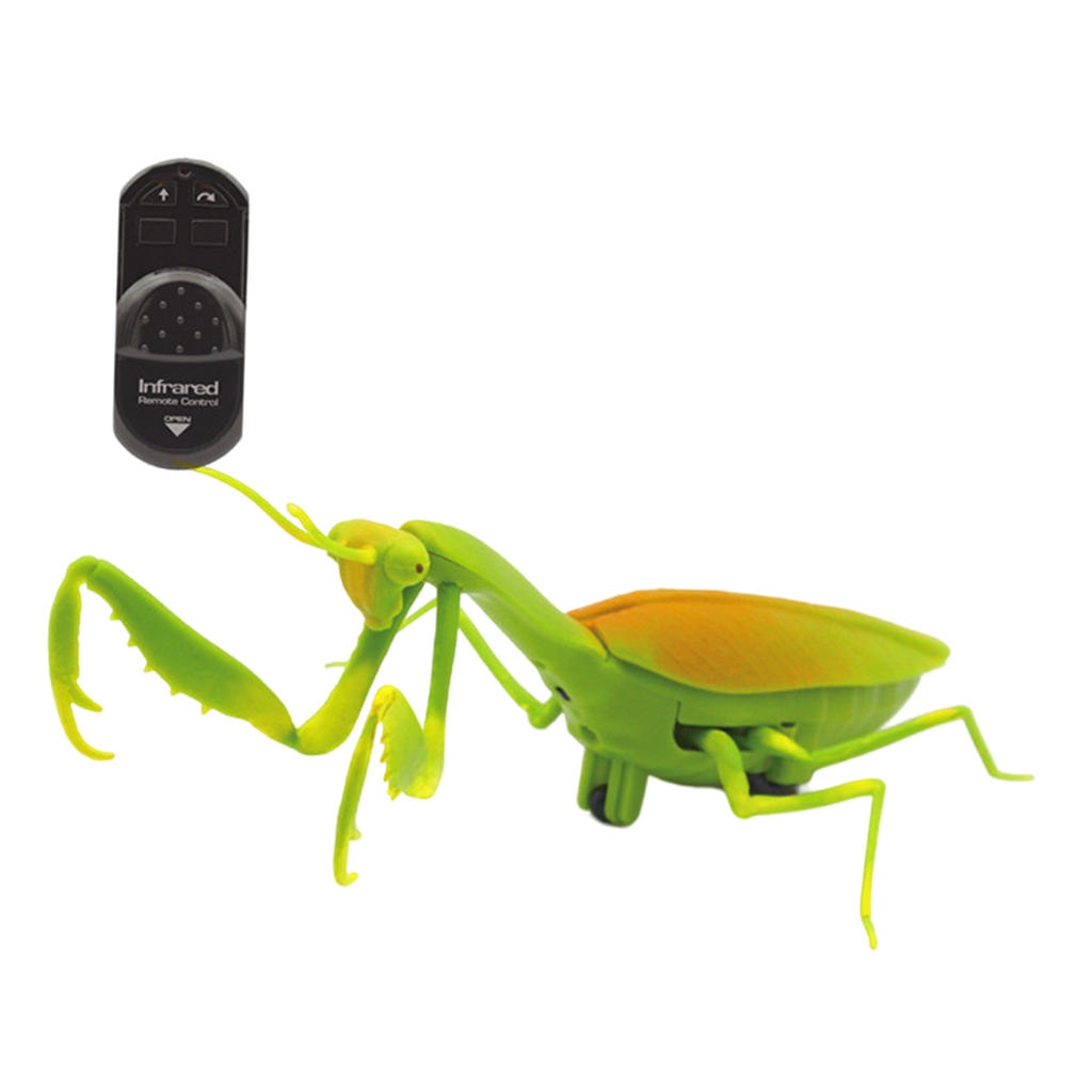 [NANA] Novelty RC Mantis Fake Mantis Party Toys Scary Trick Toys for ...