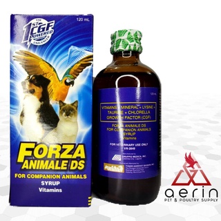FORZA ANIMALE DS SYRUP 120ML