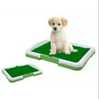 grass wee wee pads for dogs