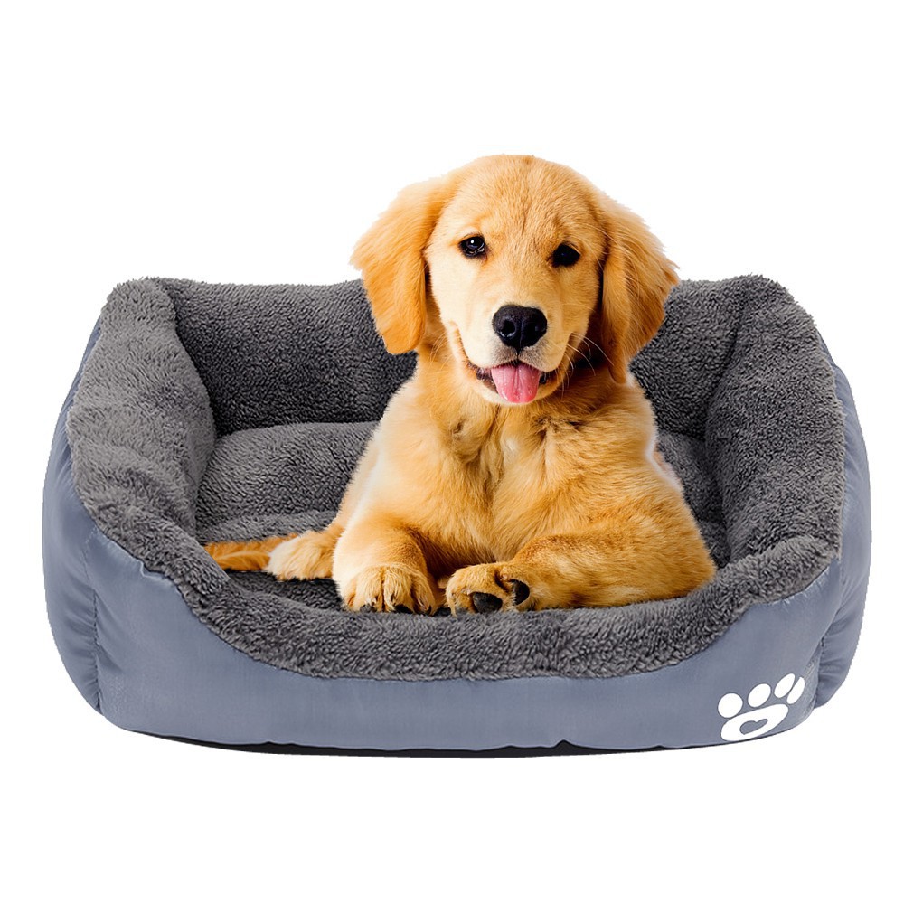 dog bed with blanket