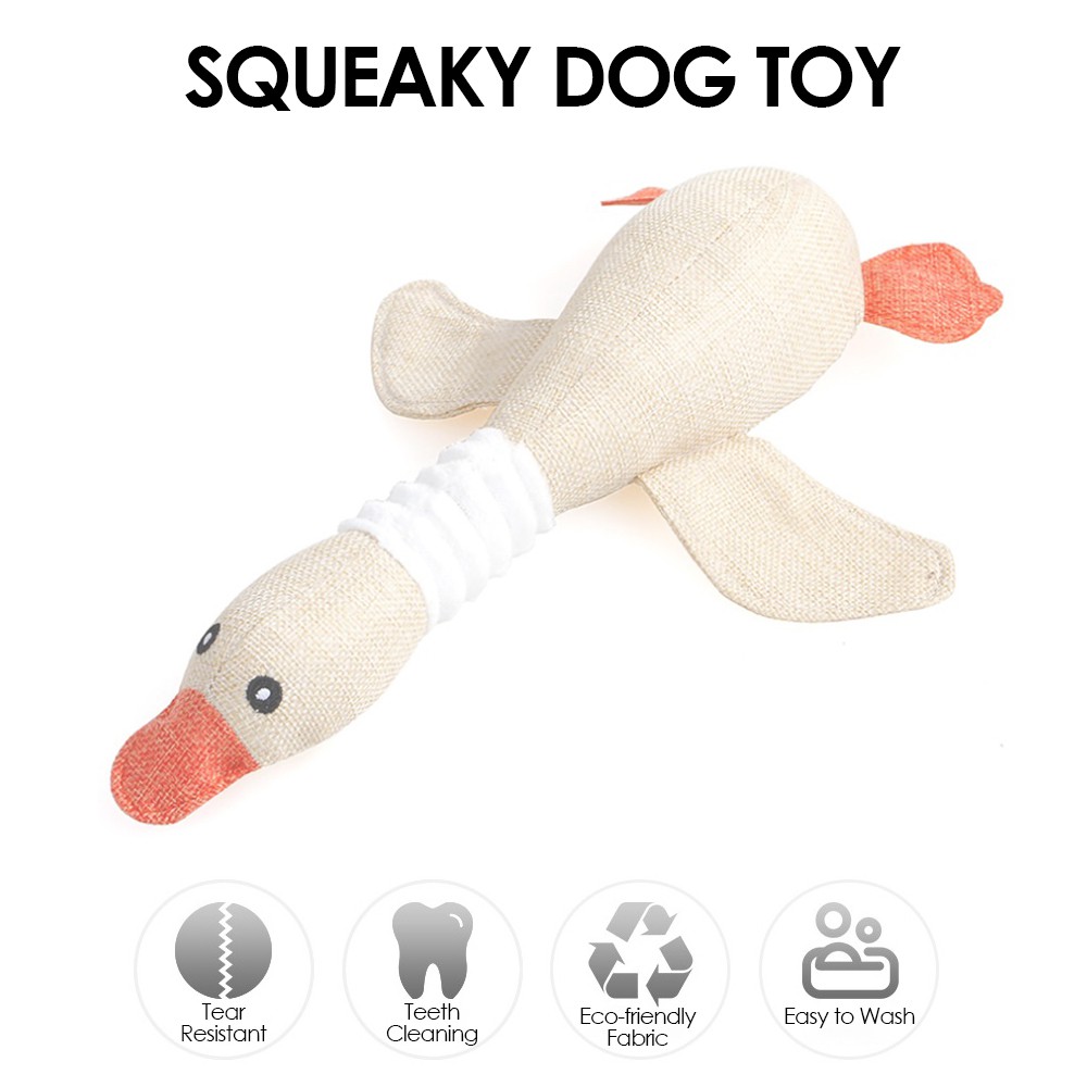 washing squeaky dog toys