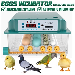 36/16/12 Egg Incubator Brooder Bird Quail Chick Hatchery Incubator Poultry Hatcher Turner Digital Automatic Farm Incubation Tool