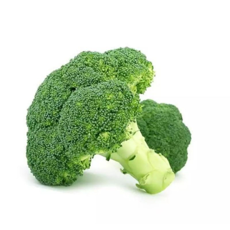 FRESH BROCCOLI VEGETABLES 500GRAMS Shopee Philippines