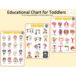 A4 LAMINATED EDUCATIONAL Wall Chart for Kids ALPHABET ABC CHART EDUCATIONAL CHART #5