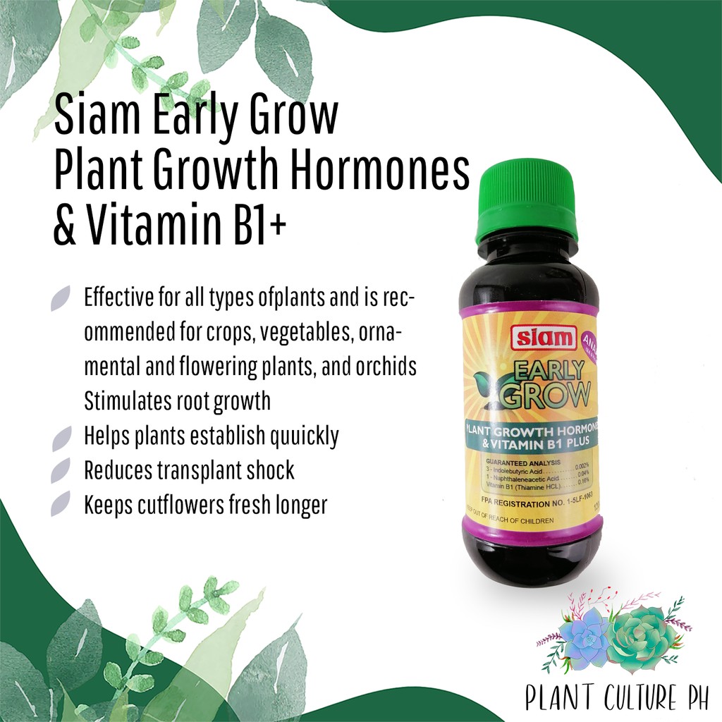 Siam Early Grow Plant Growth Hormone and Vitamin B1+ by