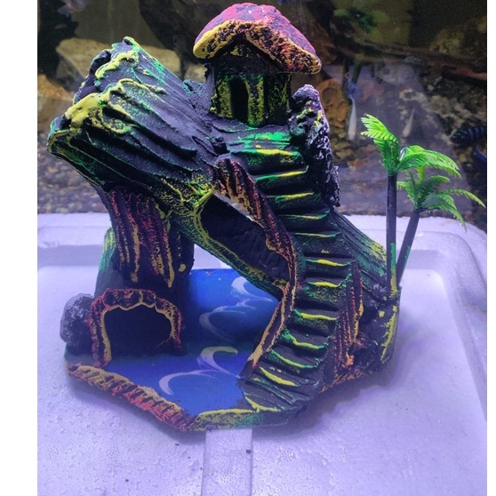 House Decoration TONG / AQUARIUM TEBING / AQUASCAPE TEBING Shopee