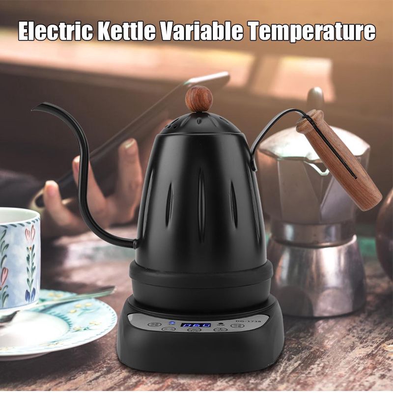 Electric Kettle Variable Temperature 