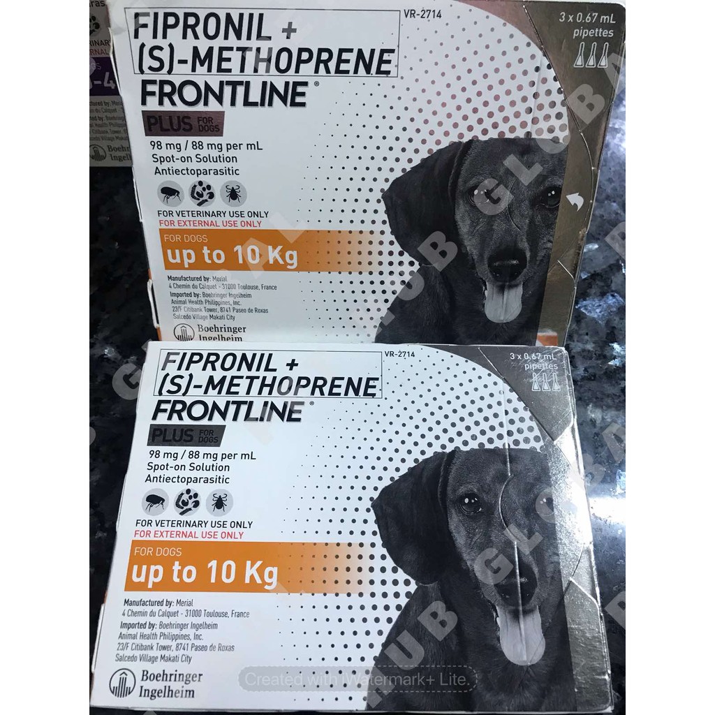 frontline plus and bathing