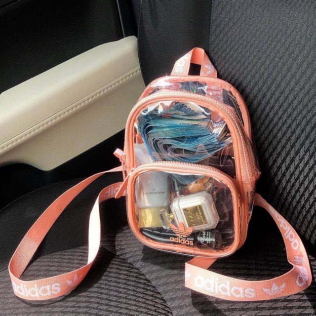 pink brand clear backpack