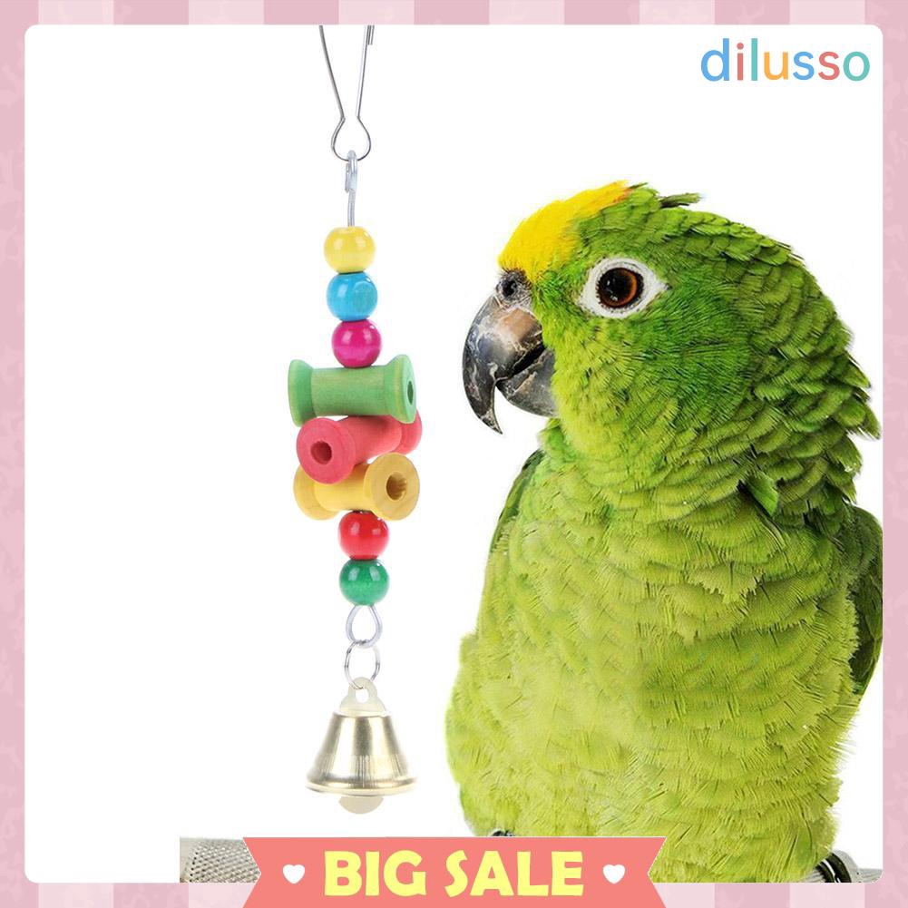 parrot hamster wheel