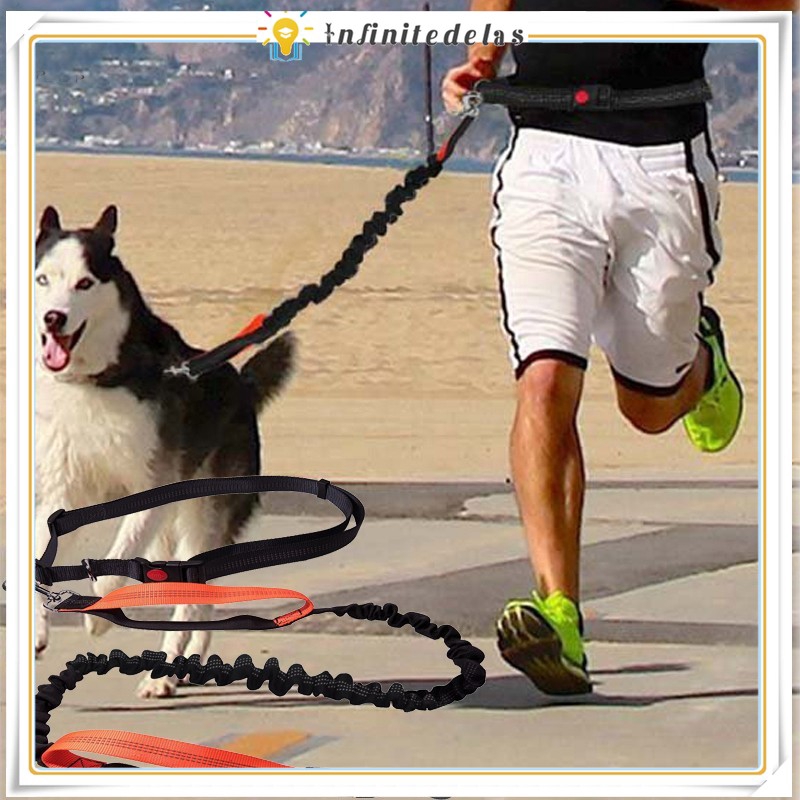 waist dog leash