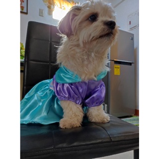 PRE-ORDER Disney Princess Dog Pet Costume(XS,S,M,L,XL) #9
