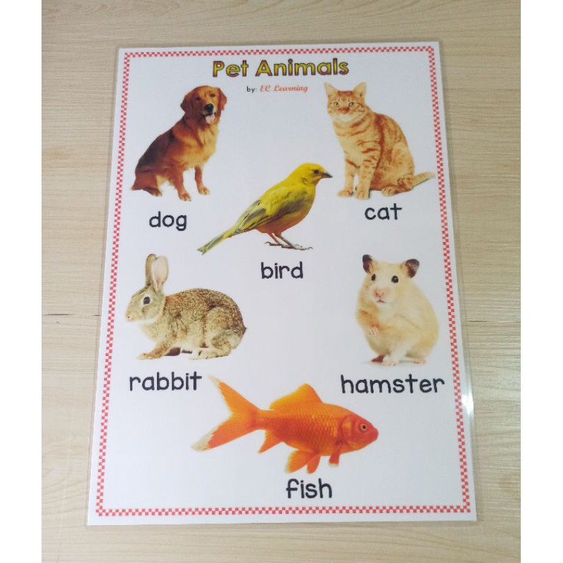 Pet Animals Chart For Kids - Anna Blog