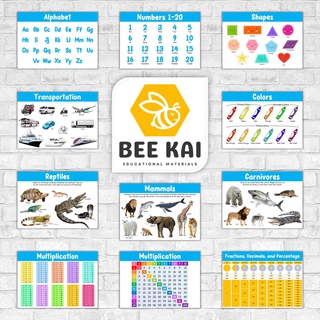 BeeKai Educational Charts | Laminated Charts | A4 Size | Alphabet ...