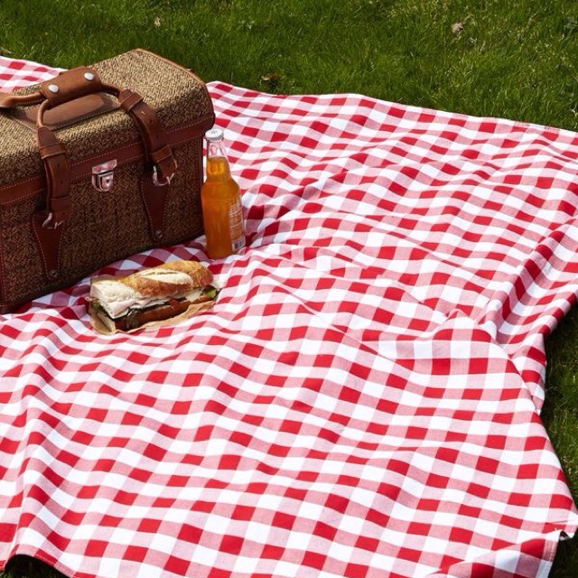 Gingham Picnic Blanket Table Cloth 