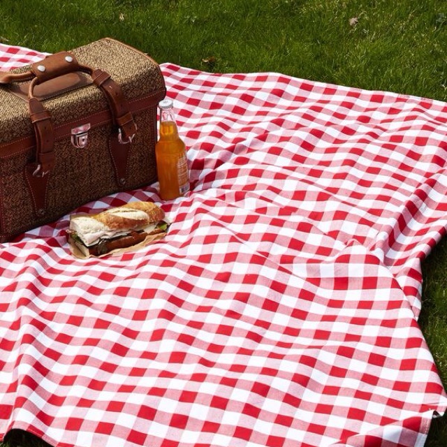 blue and white checkered picnic blanket