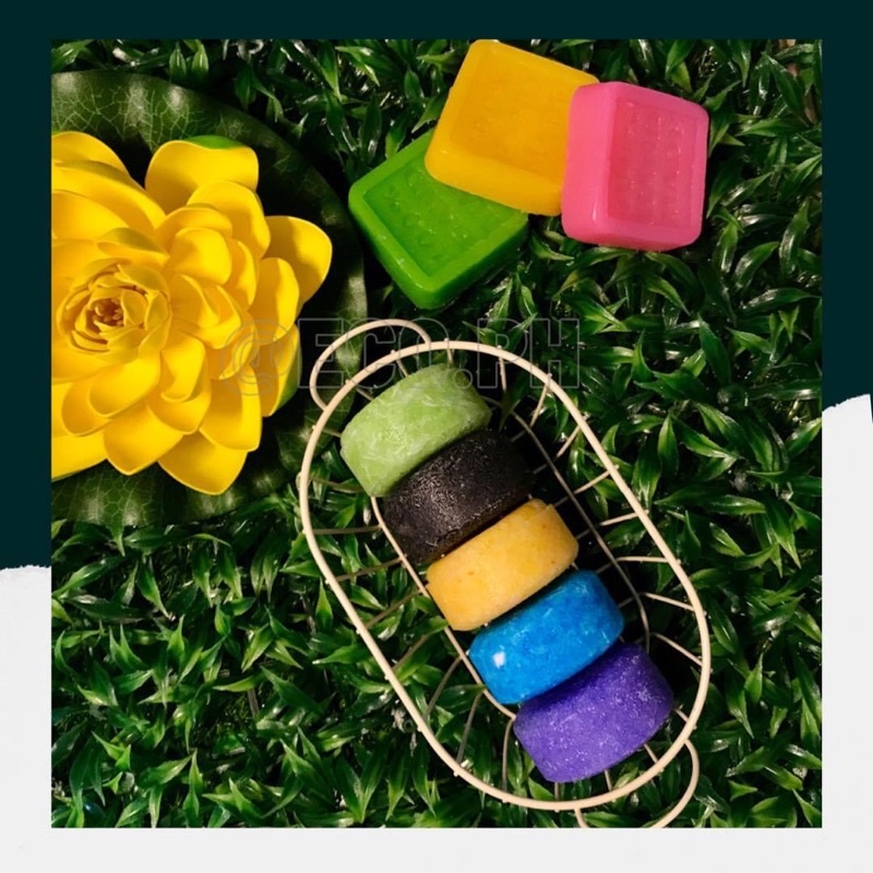Eco Shampoo and Conditioner Bars Sampler Set (Minis) Shopee Philippines