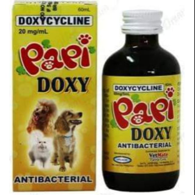 Papi Doxy Doxycycline Antibacterial For Dogs And Cats Shopee