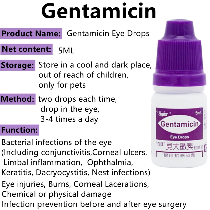 5ml-pet-eye-drops-gentamicin-eye-drops-anti-inflammatory-sterilization