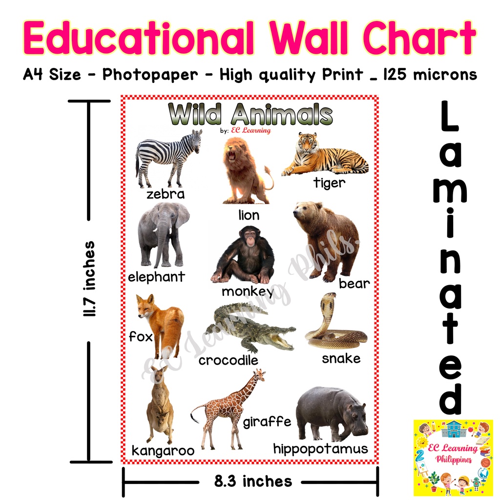 A4 WILD ANIMALS Laminated Educational Wall chart for kids | Shopee  Philippines