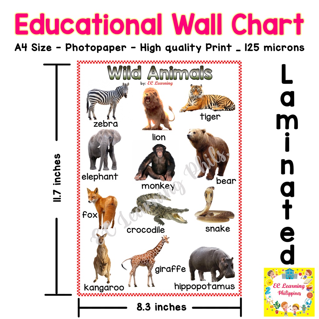 All Wild Animals Chart