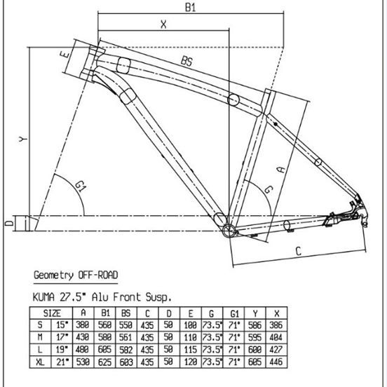 bianchi frame sizes