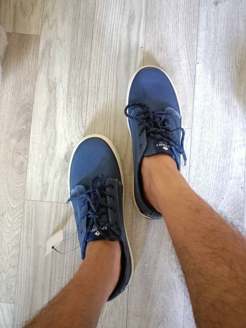 coastline blucher sneaker