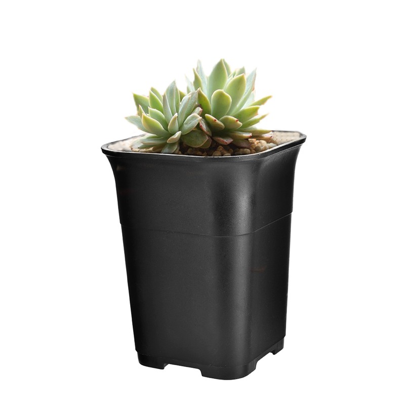 5Pcs Black Square High Waist Mini Nursery Pot Plant Pot S
