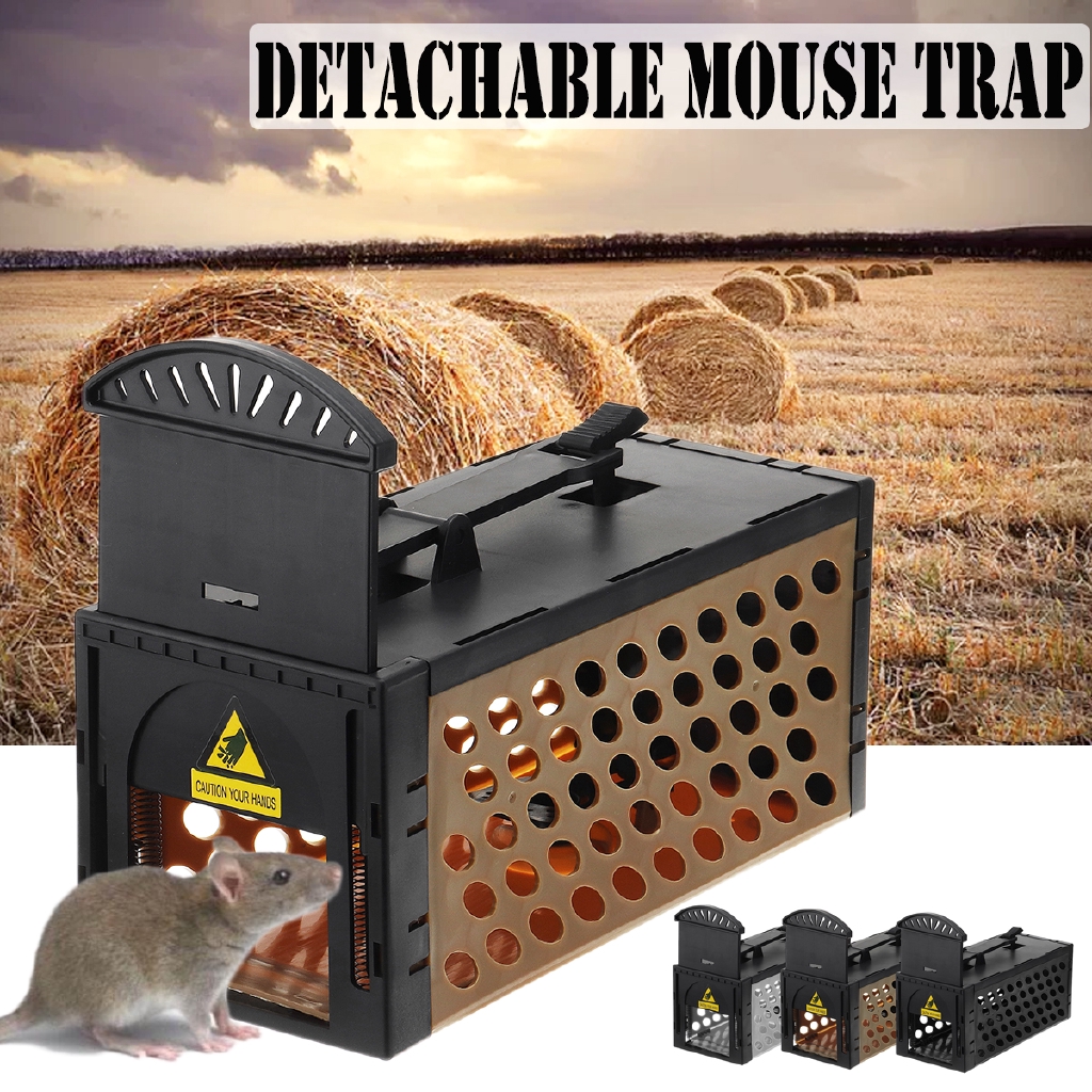 humane mouse trap