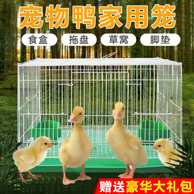 Duck cage home indoor chicken cage brooding pet Kerr duck cage raising ducks raising goose Kerr duck #1