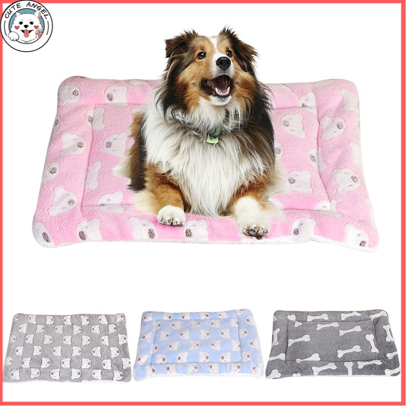 Should I Wash My Dogs Blanket