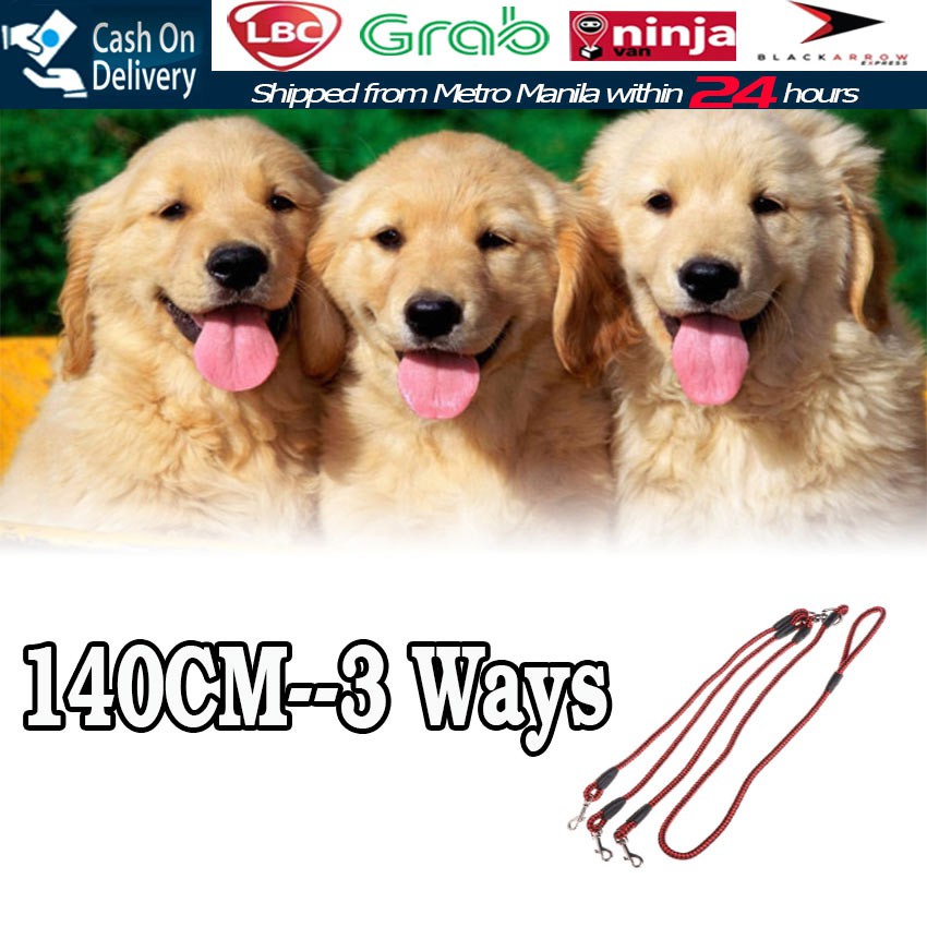 triple retractable dog leash