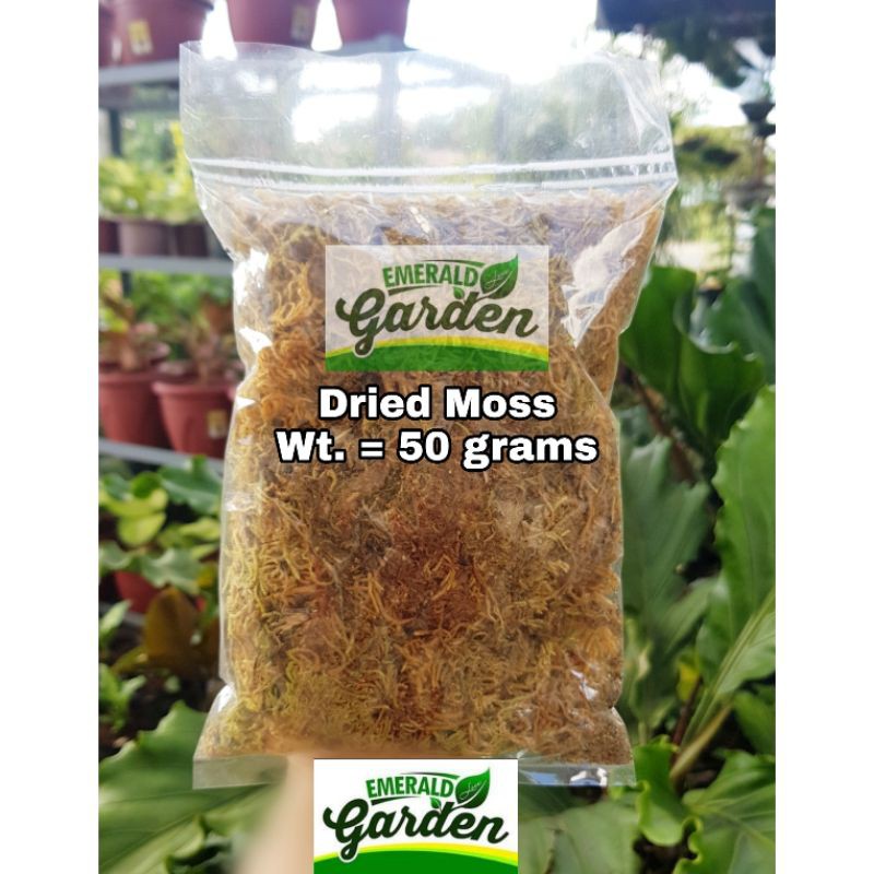 Dried Sphagnum Moss (250g/50g) Shopee Philippines
