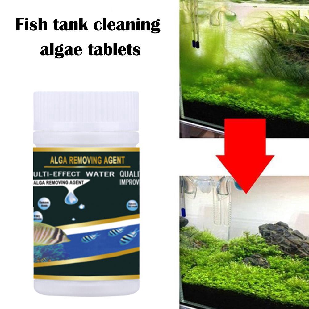 algae tablets for fish