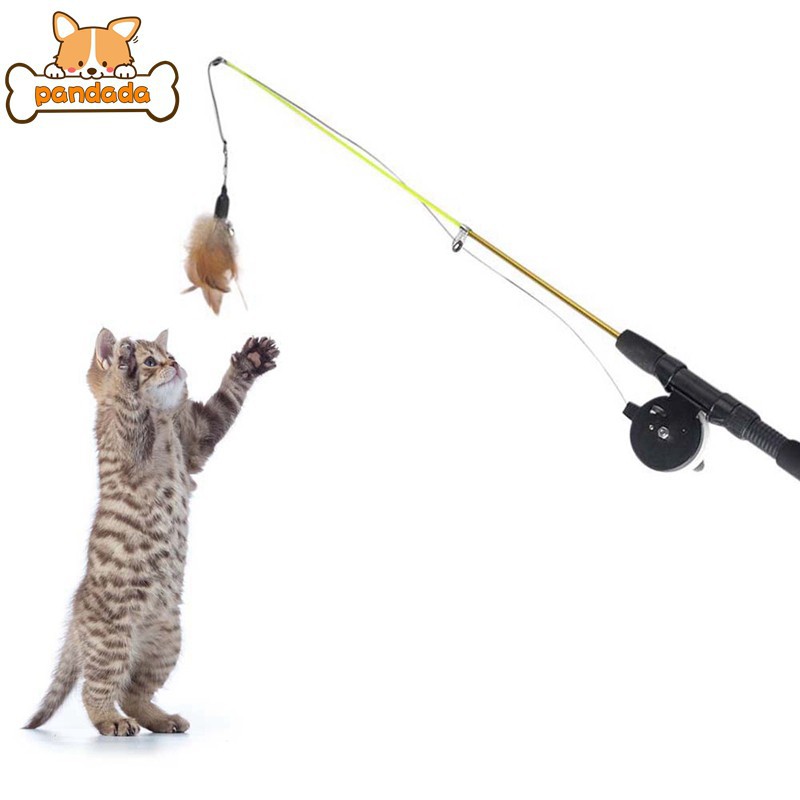 cat catcher