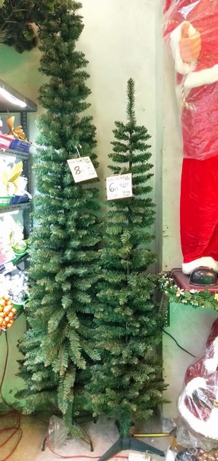 Featured image of post 7 Ft Skinny Christmas Tree