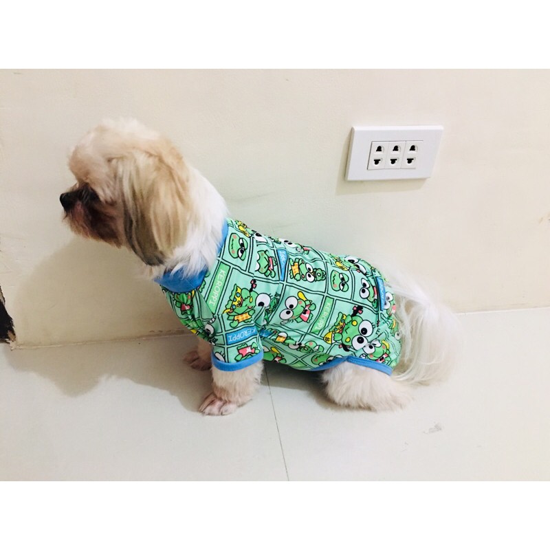 What Size Is My Dog In Clothes